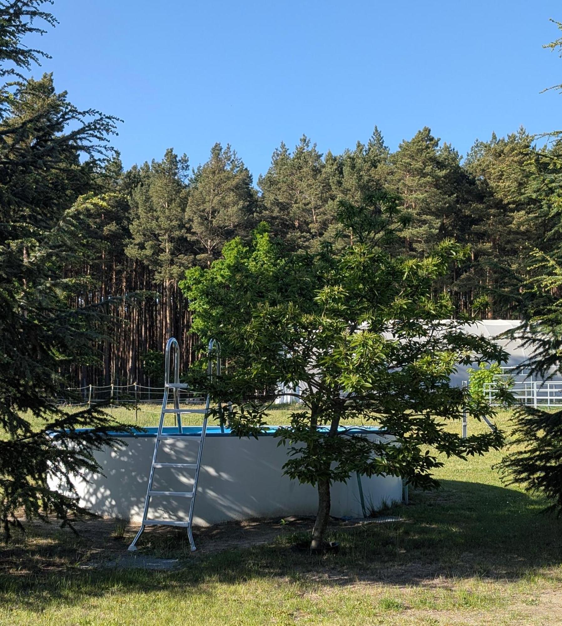 Pension Zum Reiterhof, Fewo 2 Schmogrow 외부 사진